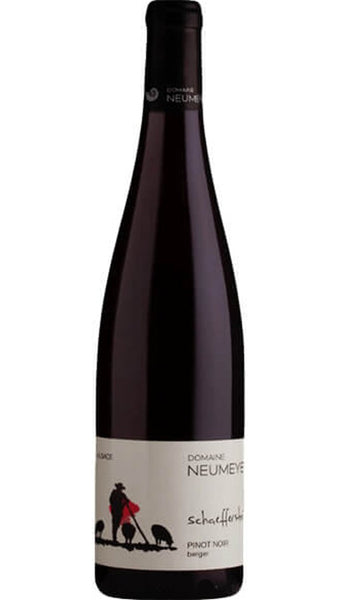 Pinot Nero - Schaefferstein