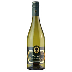 Ribolla Gialla Vinnae