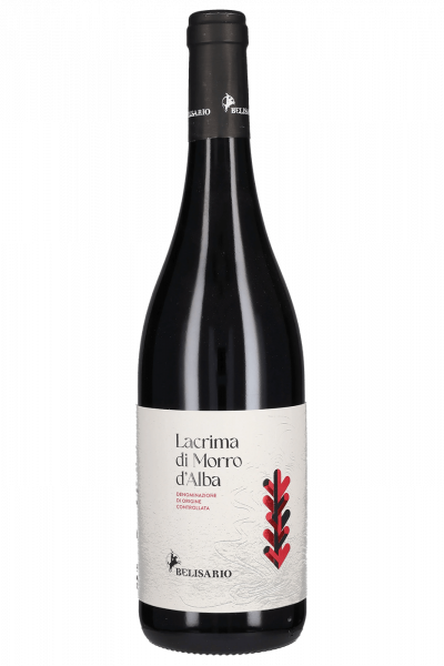 Lacrima di Morro d'Alba