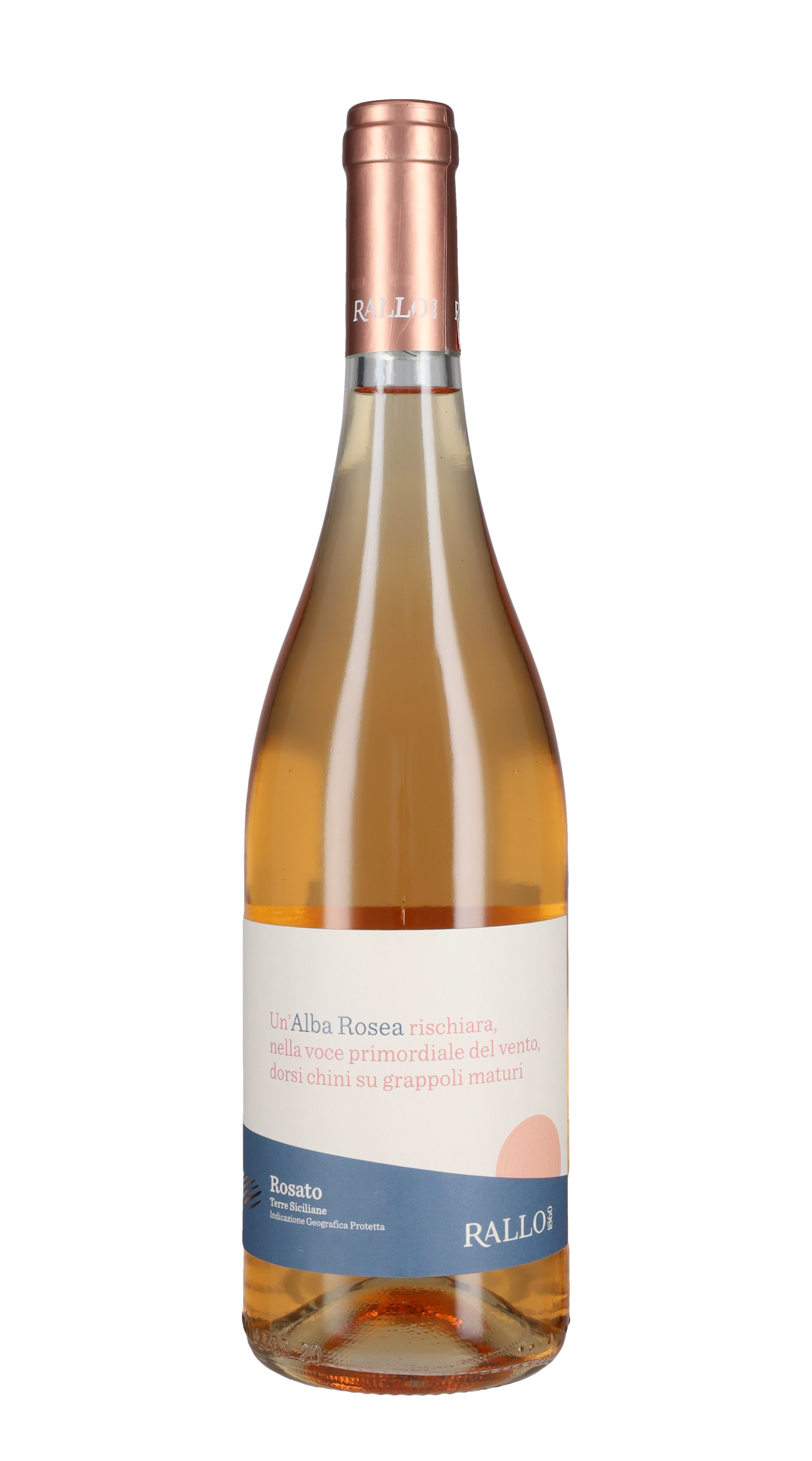 Rosato 'Alba Rosea' Rallo