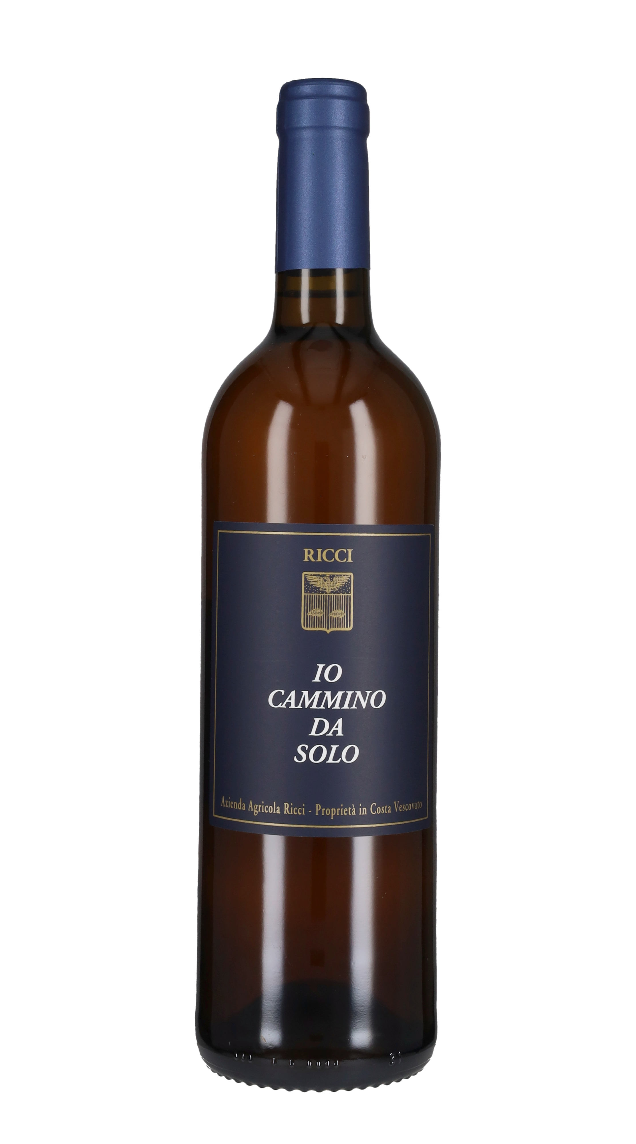 'Io Cammino da Solo' Ricci