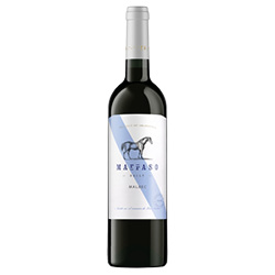 Mendoza IG Malbec Daily Marraso