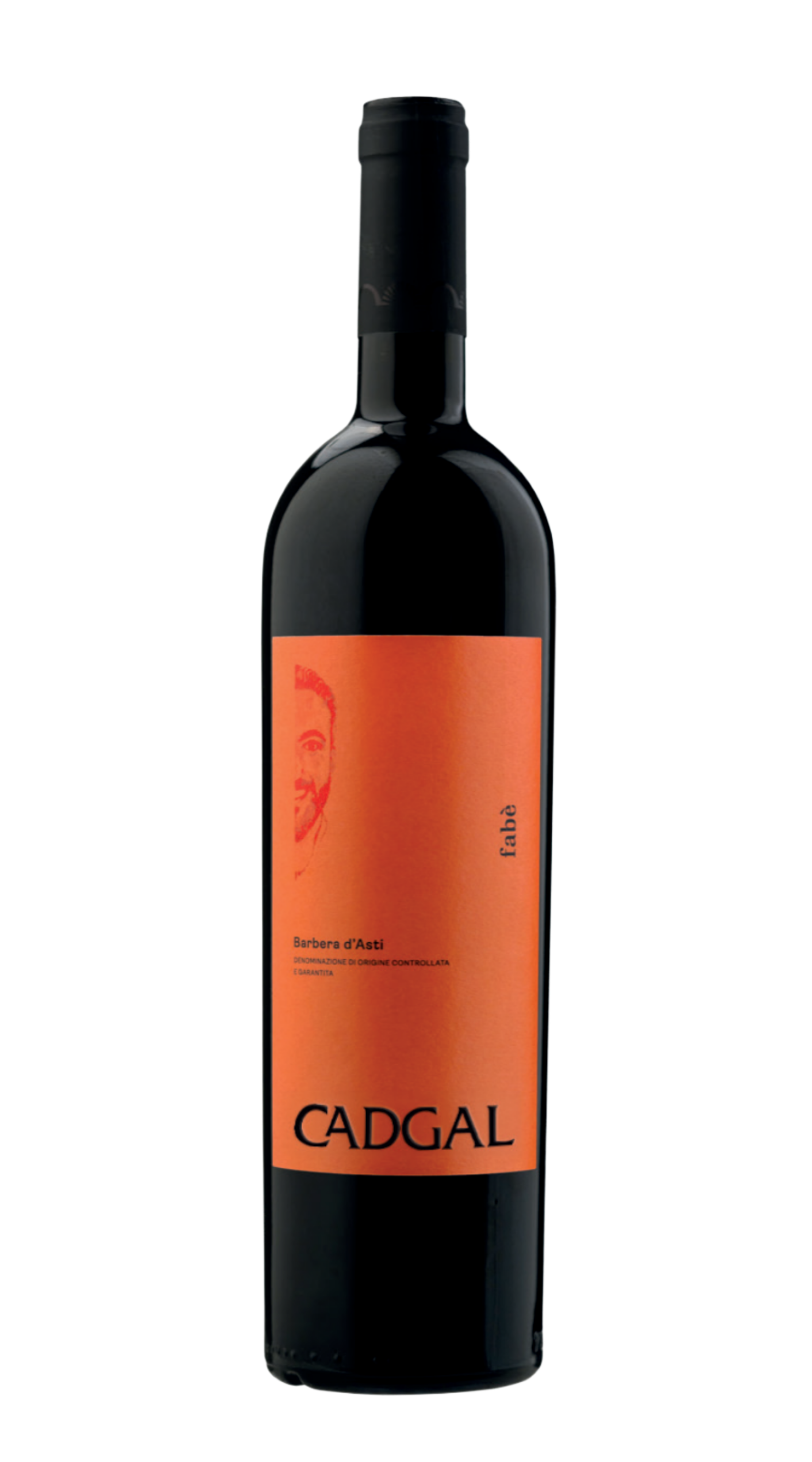 Barbera d'Asti 'Fabè' Ca' d'Gal