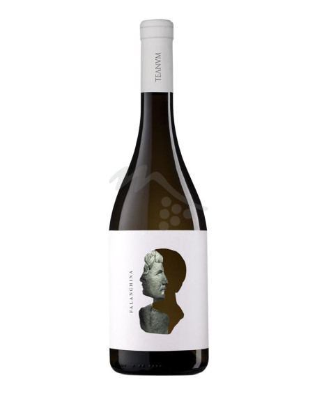 Otre Falanghina Puglia IGP Cantine Teanum
