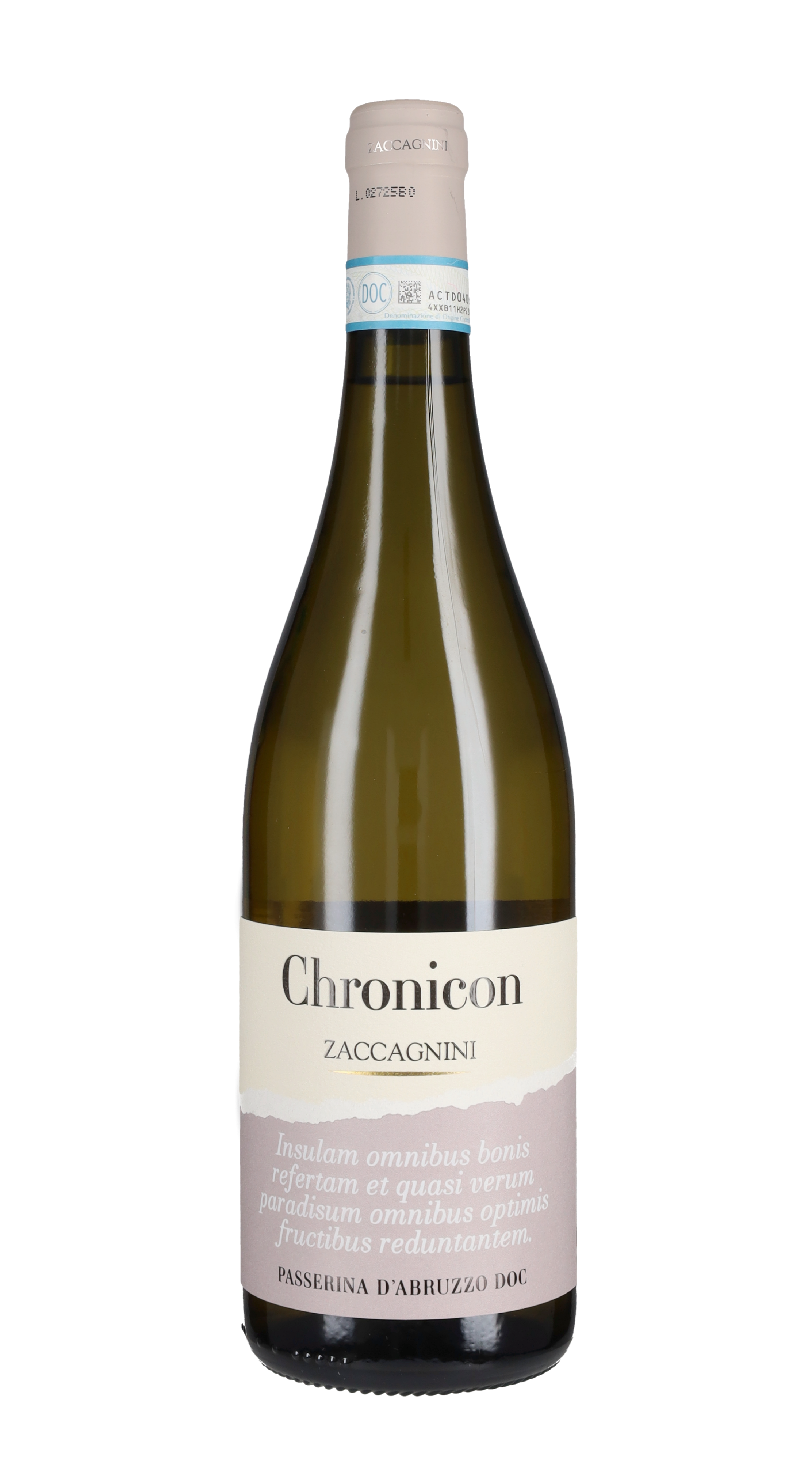 Passerina 'Chronicon'