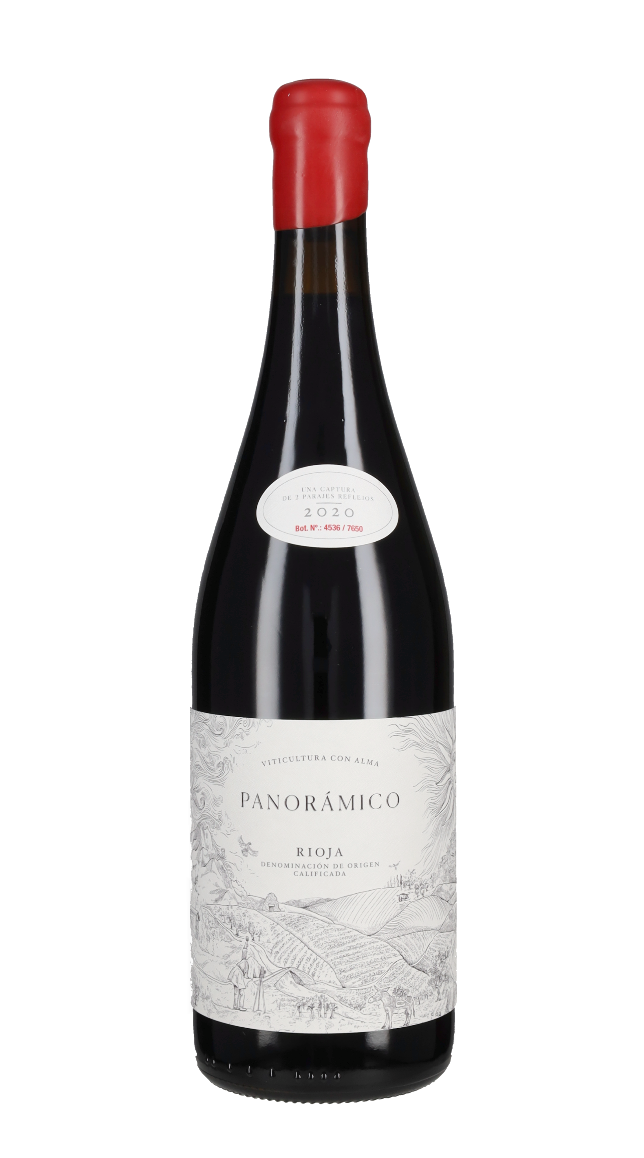 Rioja Tinto Panoramico