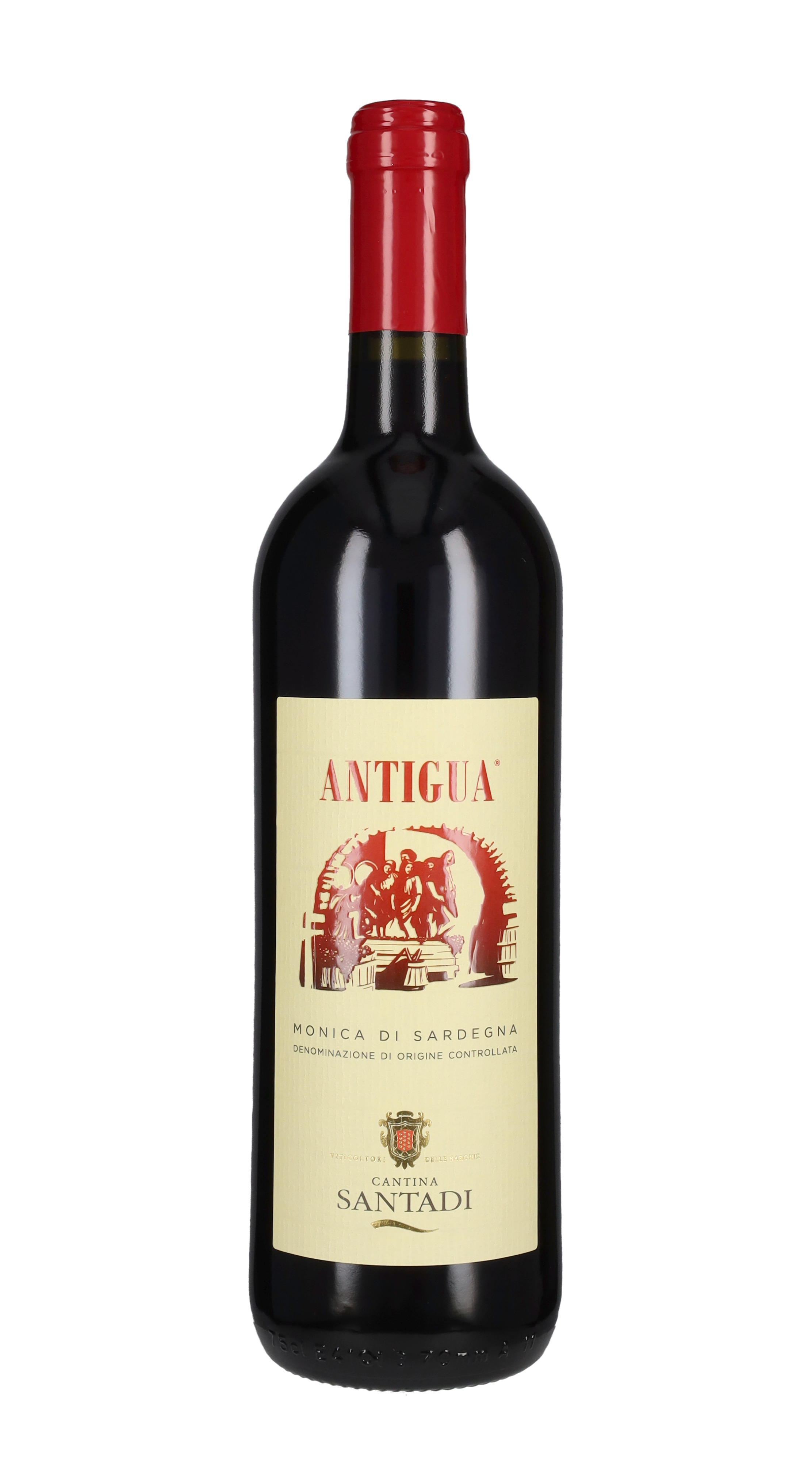 Monica 'Antigua'