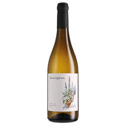 Südtirol - Alto Adige Sauvignon