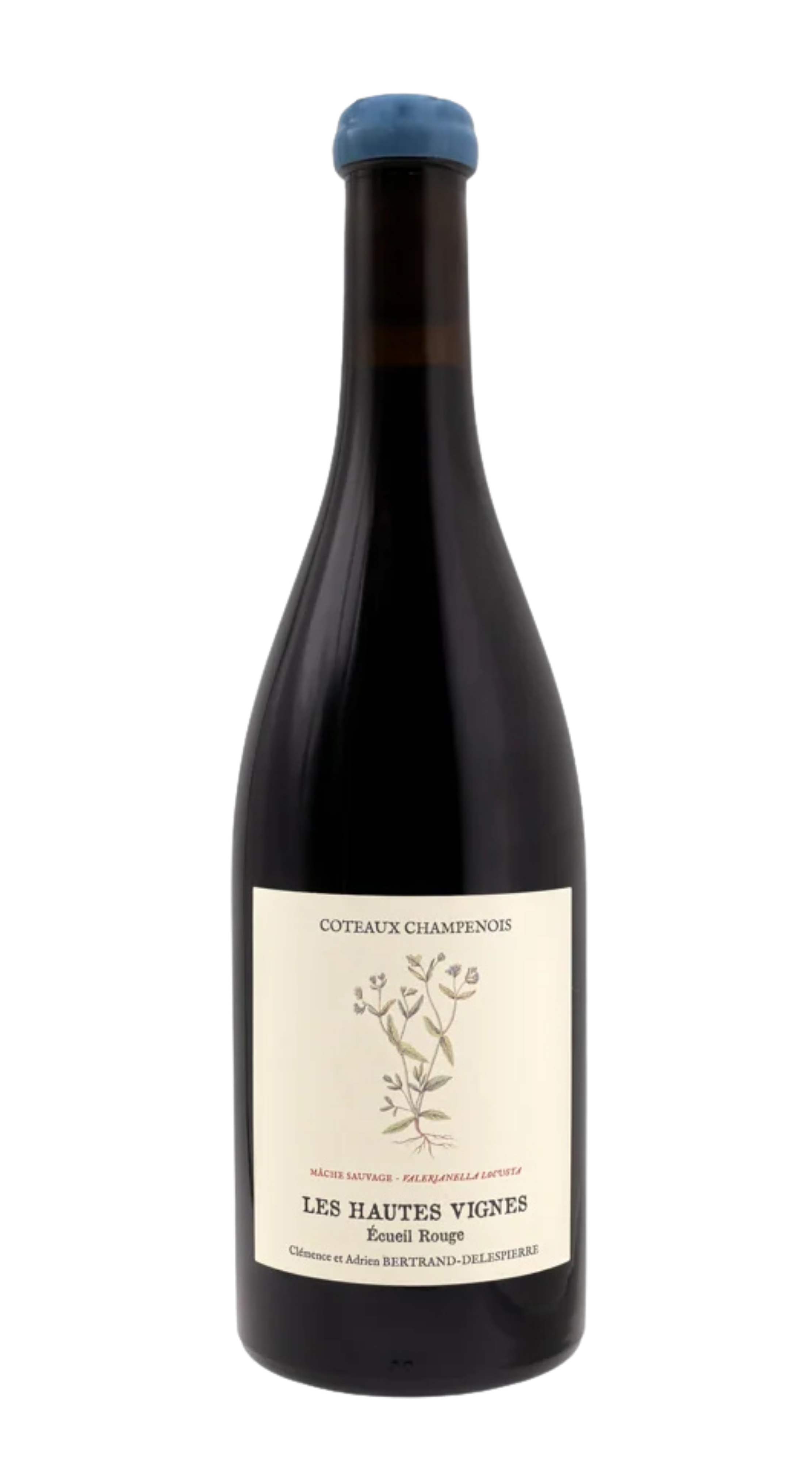 Coteaux Champenois Rouge 'Les Hautes Vignes'