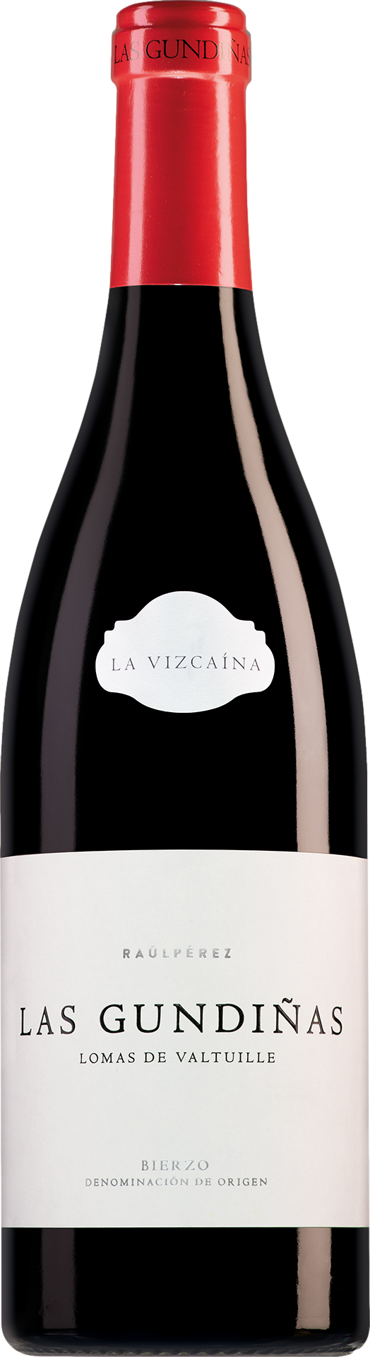 Raul Perez La Vizcaina Las Gundinas Mencia 2023