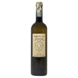 Aversa Asprinio Vite Maritata