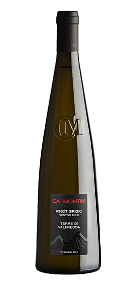 Pinot Grigio Trentino DOC "Terre di Valfredda" 2024