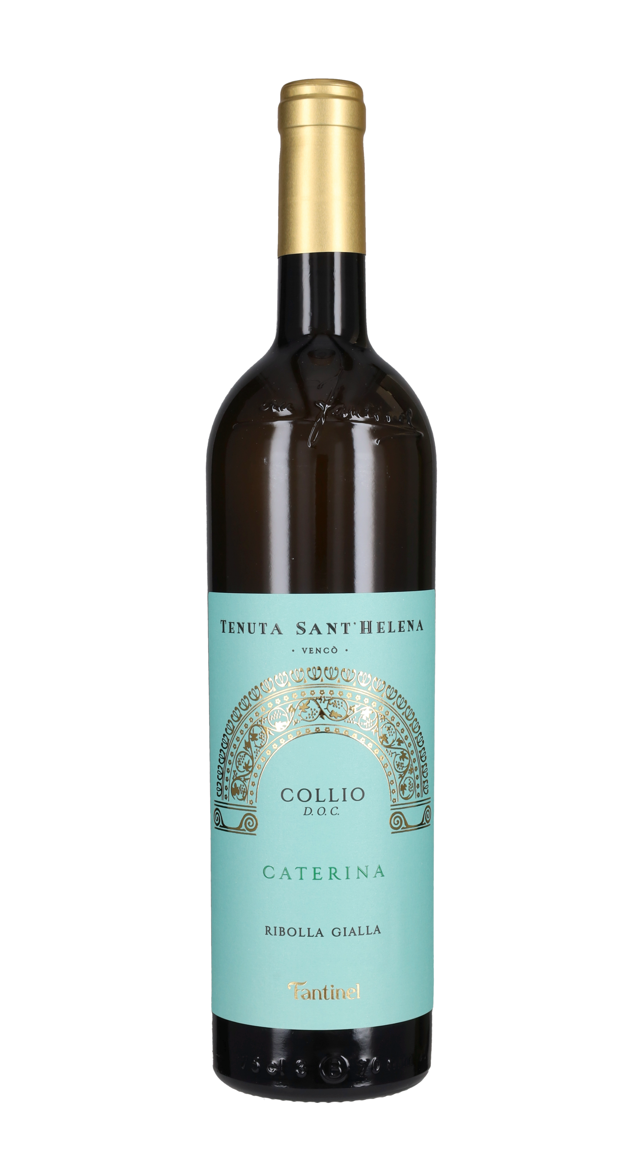 Ribolla Gialla 'Caterina' Tenuta Sant'Helena
