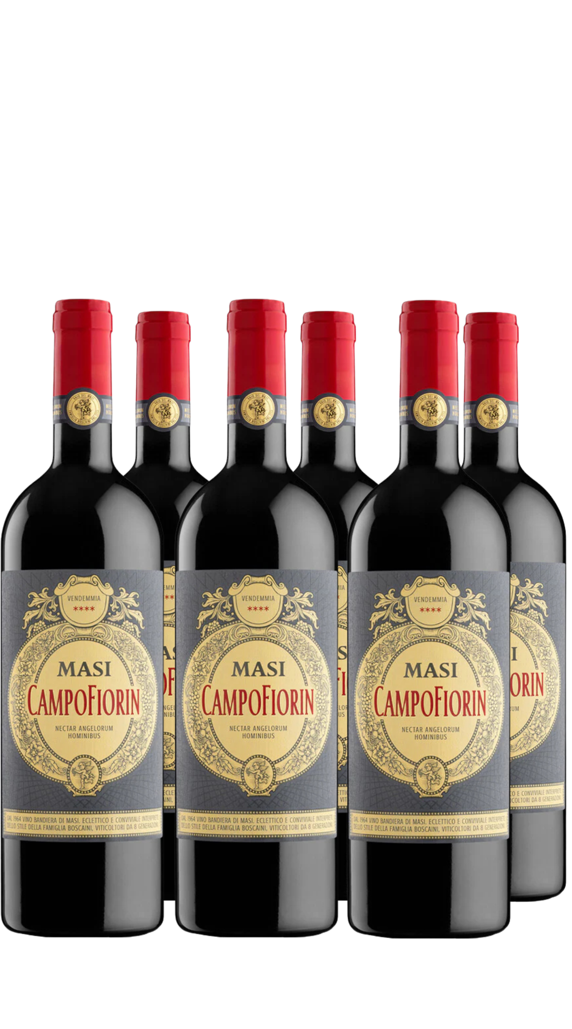 Wine Box Campofiorin (6bt)