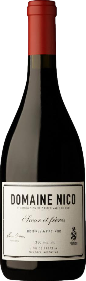 Domaine Nico Histoire d'A Pinot Noir 2022