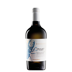 Terre d'Abruzzo Pecorino Biologico