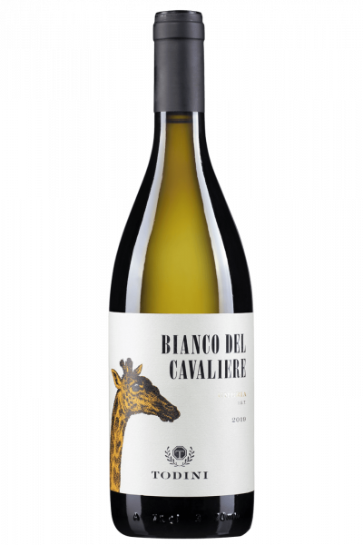 Bianco Del Cavaliere Todini