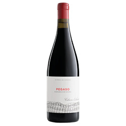 Telmo Rodríguez Pegaso Barrancos de Pizarra Cebreros DOP 2022 0,75 ℓ
