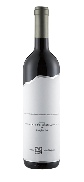 "Capitolo 7" Verdicchio dei Castelli di Jesi Classico DOC 2023