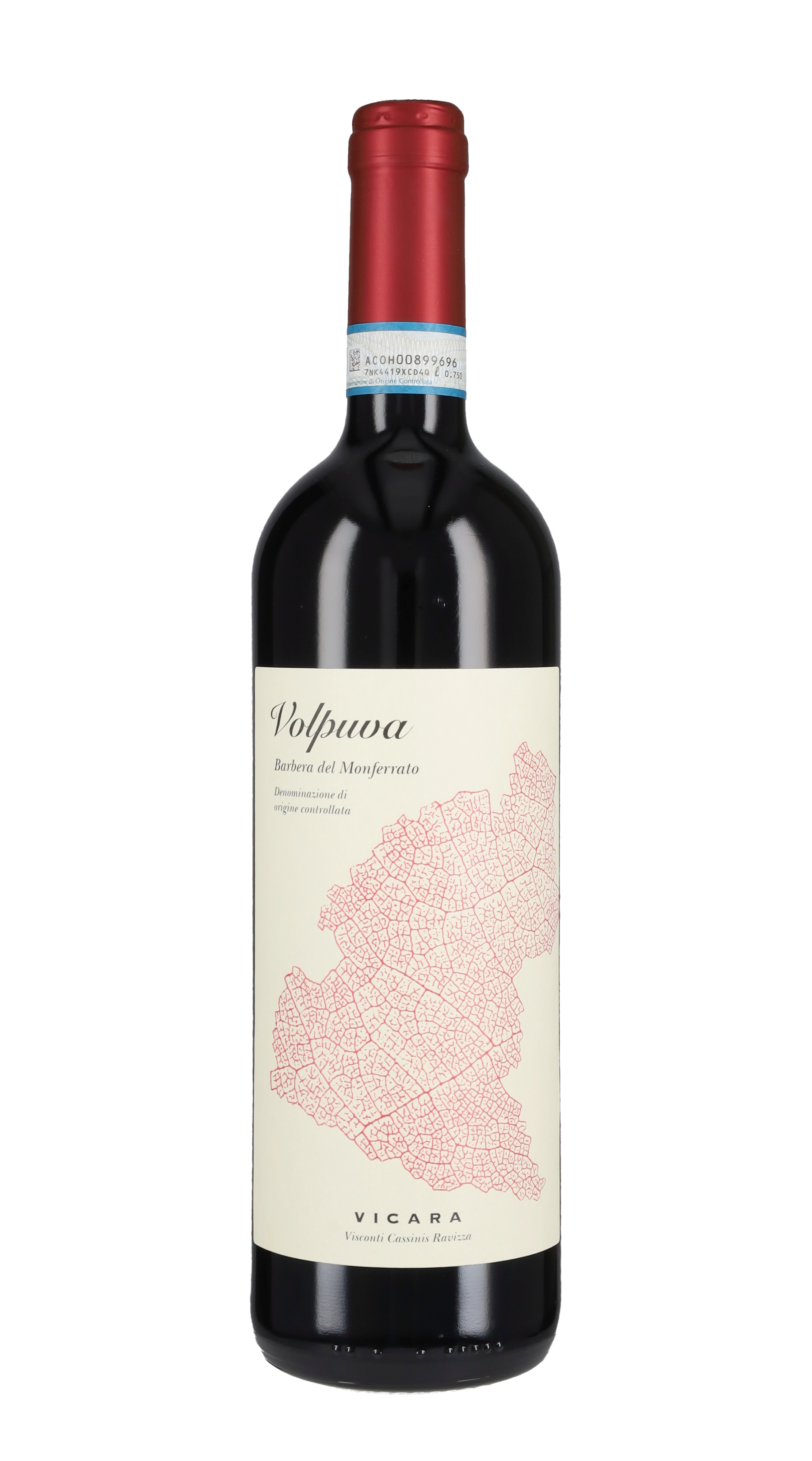 Barbera del Monferrato 'Volpuva' Vicara