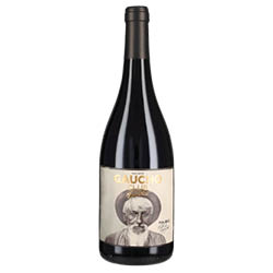 Valle de Cafayate IG Malbec Gaucho Club