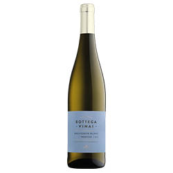 Trentino Bottega Vinai Sauvignon Blanc