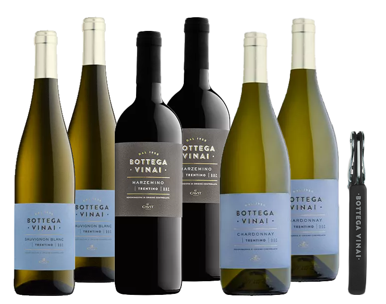 Passione Trentina Bottega Vinai