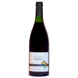 Bigolla Barbera