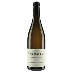 Domaine Pierre Boisson Les Belles Côtes Bourgogne AOC Blanc 2021 0,75 ℓ