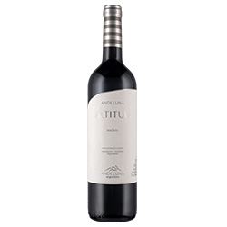 Tupungato Malbec IG Altitud
