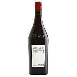 Arbois Poulsard Amphore