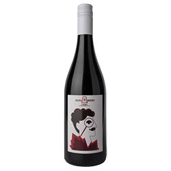 Briziarelli Don Brizio Umbria IGT Rosso 2022 0,75 ℓ