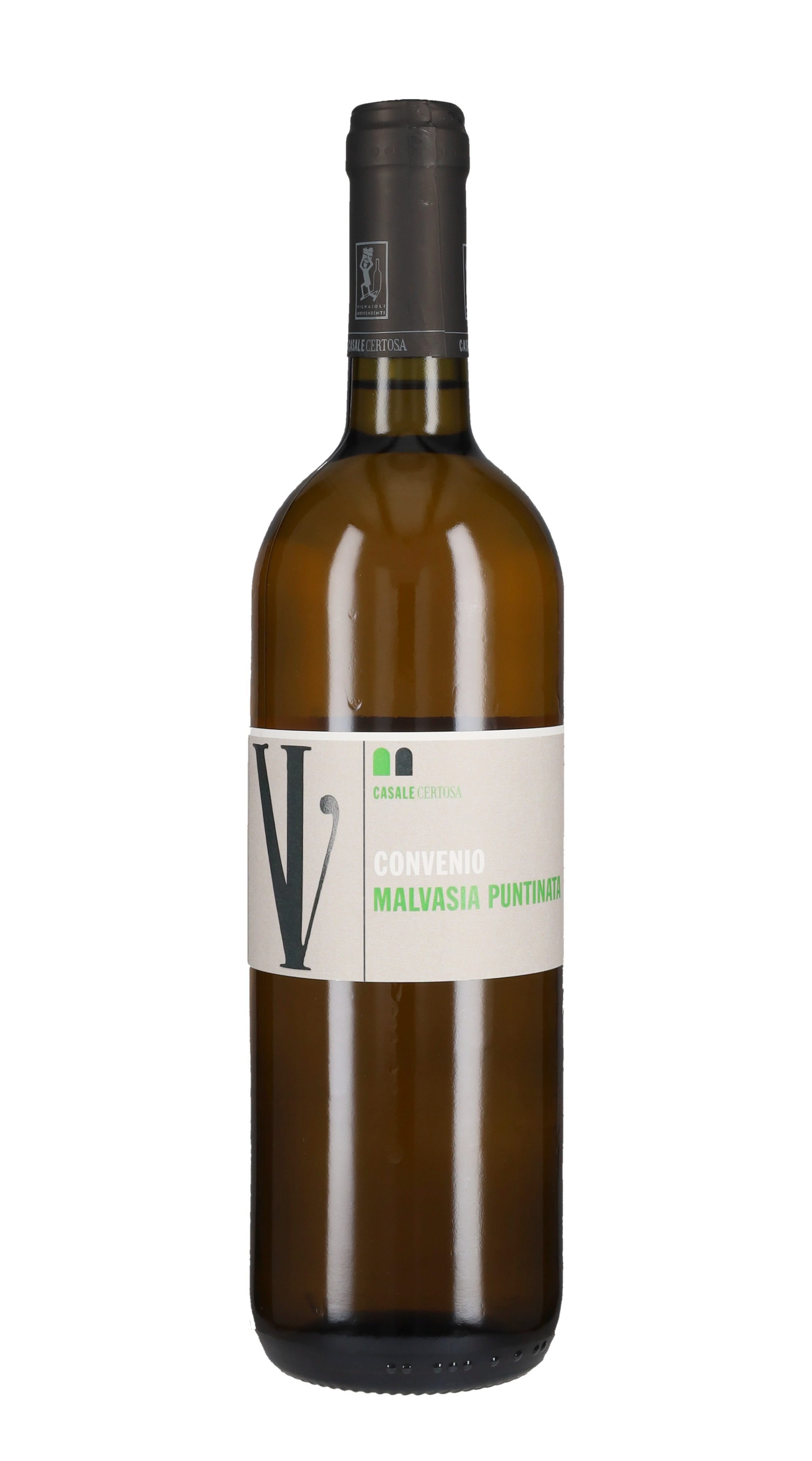 Malvasia Puntinata