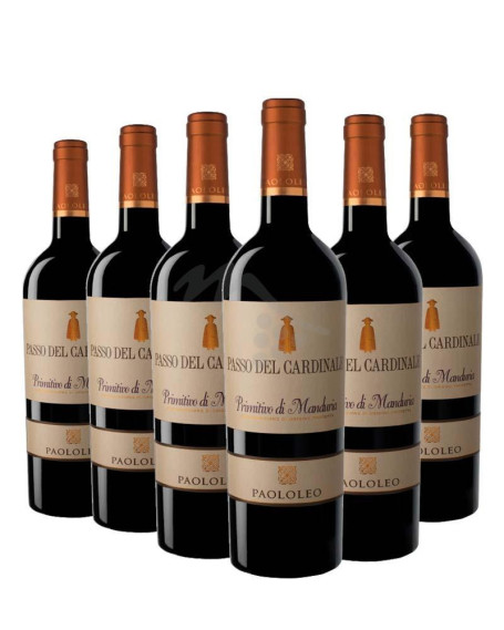 Box 6 Passo Del Cardinale 2023 Primitivo di Manduria DOP Cantine Paolo Leo