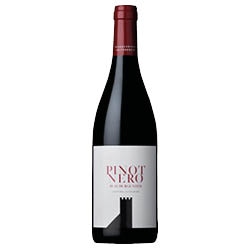 Südtirol - Alto Adige Pinot Nero