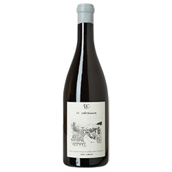 Pierre Girardin Vin de France Savagnin Le Châtaignier 2023 0,75 ℓ