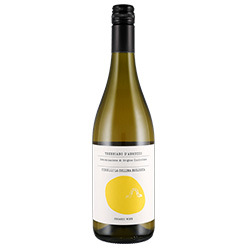 Trebbiano d'Abruzzo Organic Wine