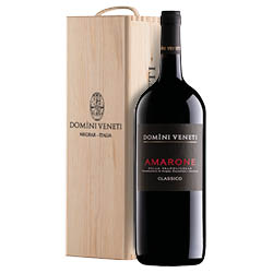Domini Veneti Amarone della Valpolicella Classico DOCG 2021