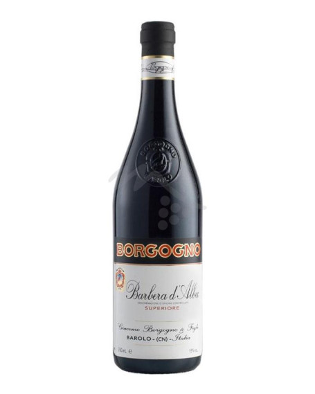 Barbera 2020 Langhe DOC Borgogno