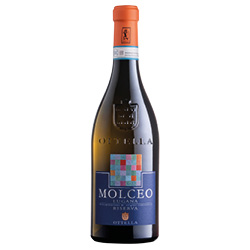 Ottella Molceo Lugana Riserva DOC 2022 0,75 ℓ