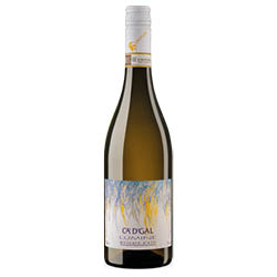 Moscato D'Asti DOCG Lumine 2025 Ca' D' Gal