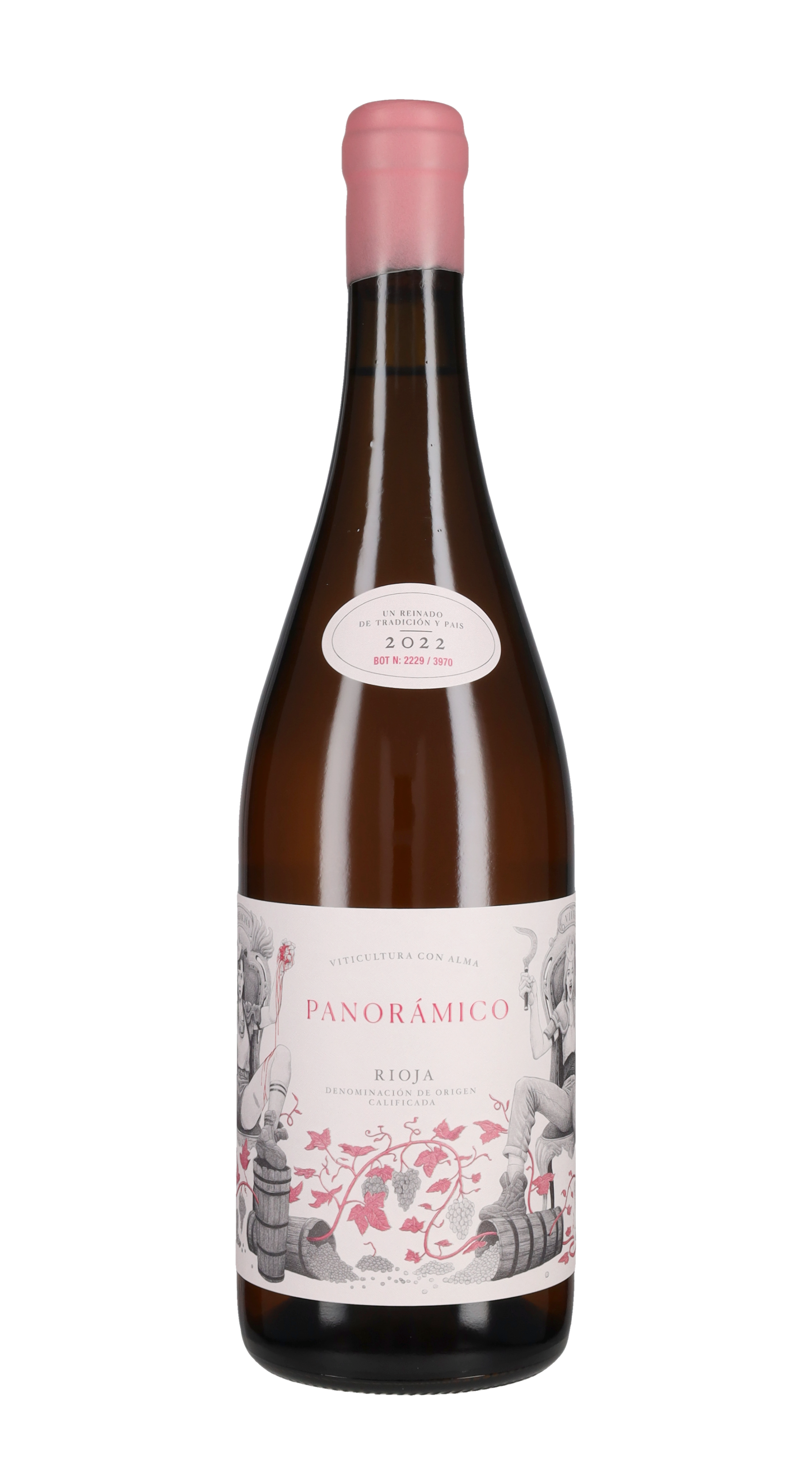 Rioja Clarete Panoramico