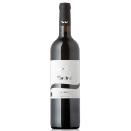 Merlot DOC Friuli Borgo Tesis