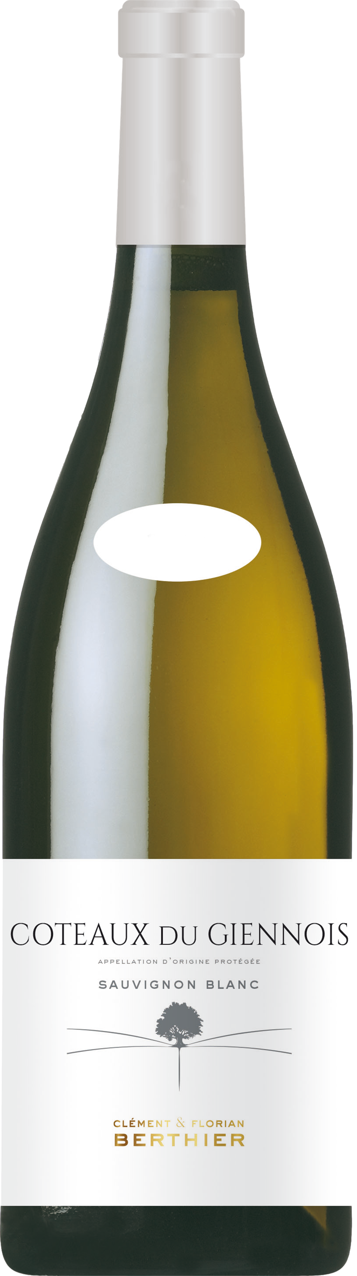 Clement & Florian Berthier Coteaux du Giennois Blanc 2023