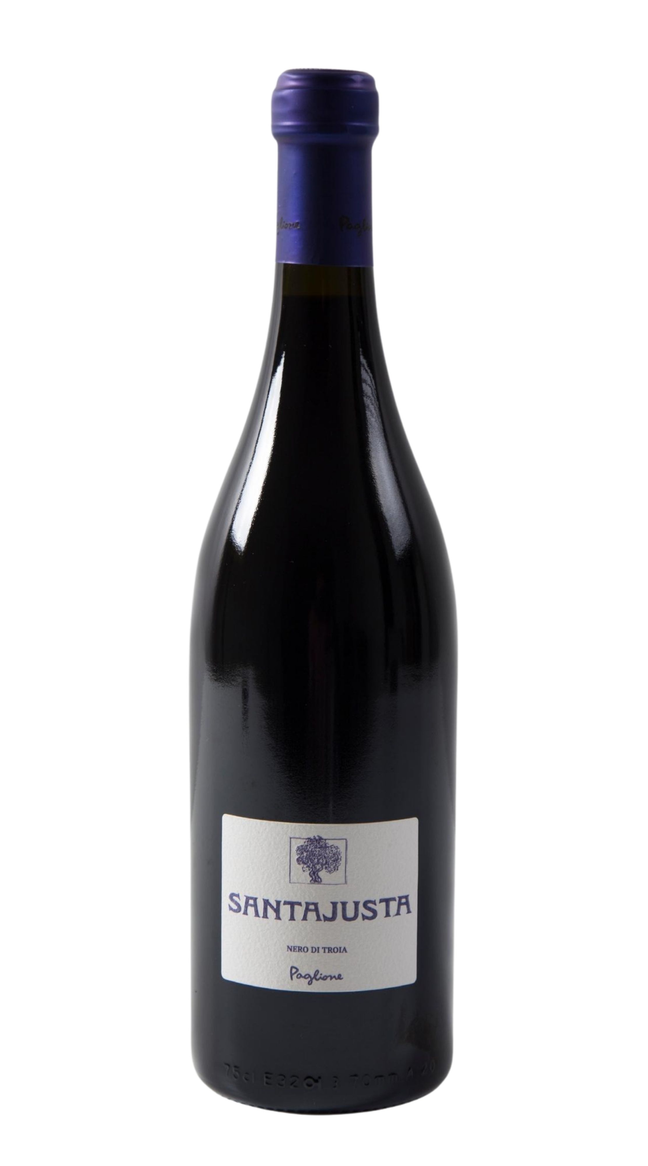 Nero di Troia 'Santajusta' Paglione
