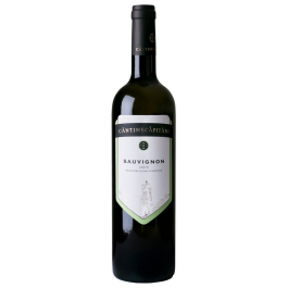 Sauvignon IGT Lazio