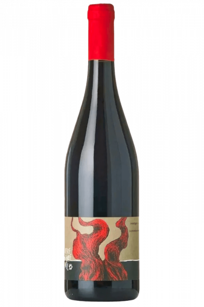 Barbera Superiore Oltretorrente