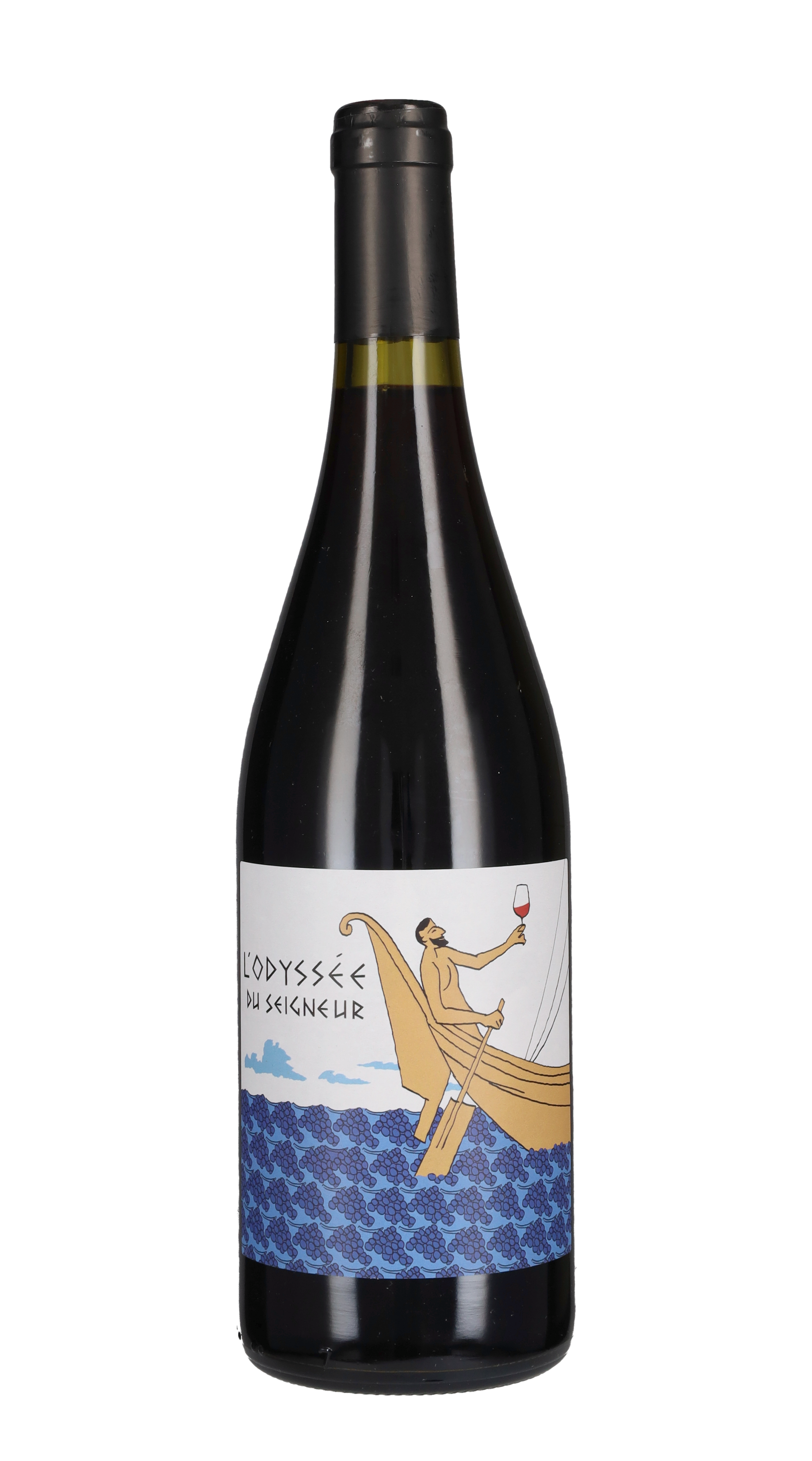 Cotes du Rhone Villages 'Odyssée' Domaine Duseigneur