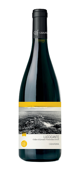 "Luccicante" Vermentino Colline di Levanto DOP 2024