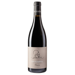 Can Axartell Terrum Mallorca IGP 2021 0,75 ℓ
